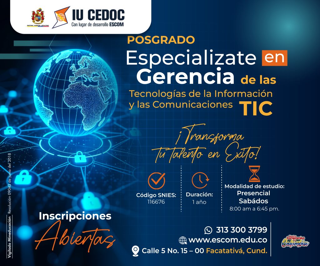 DISEÑO ESP GERENCIA TIC-02.jpg